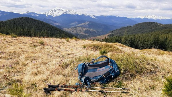 La meilleure saison pour bénéficier d'offres de croisières imbattables